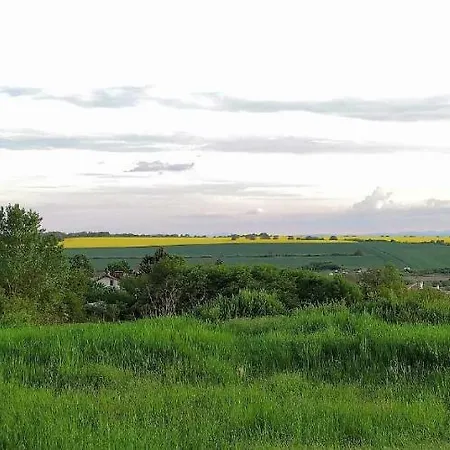 Ralitsa 게스트하우스 Kiulevča